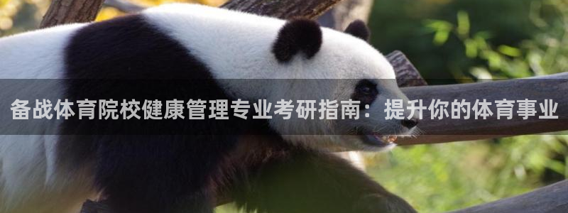 必一体育下载app：