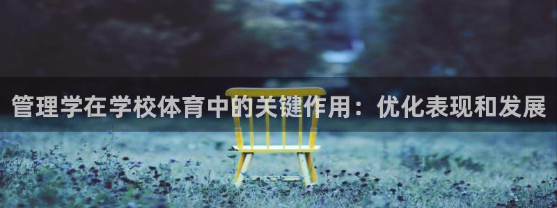 必一体育下载：管理学