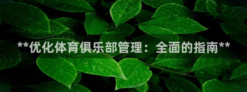 必一运动sport爱