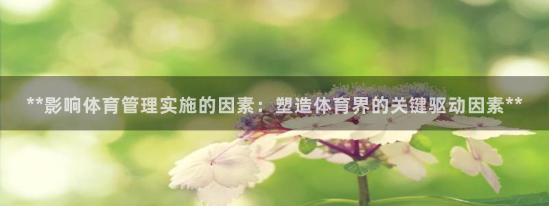 必一体育网页：**影