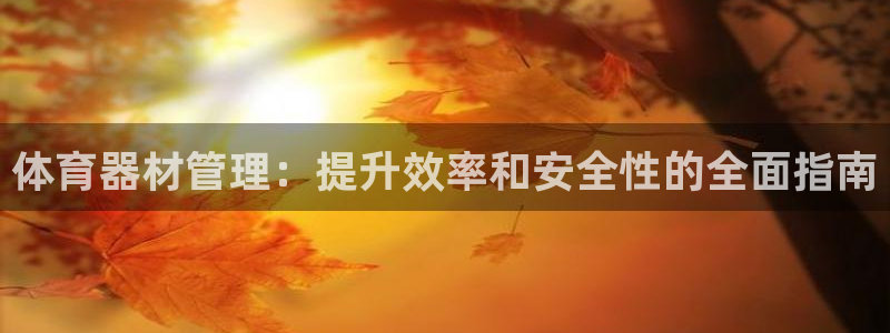 必一体育怎么下载：体