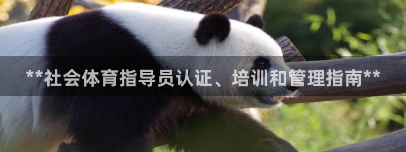 必一体育sport下