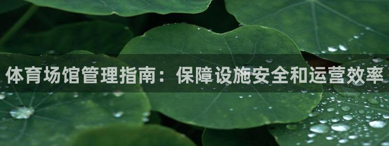 必一体育旧版：体育场