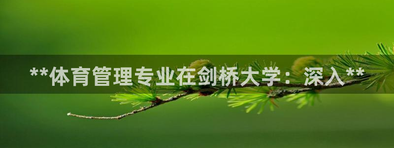 必一运动官网：**体
