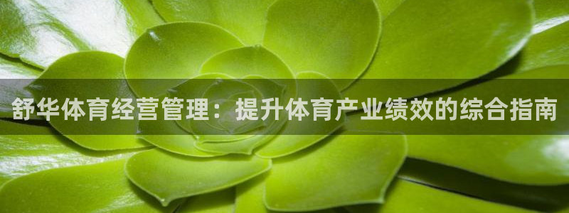 必一运动·(B-sp
