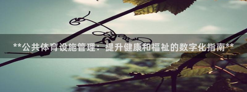 必一体育登录APP下