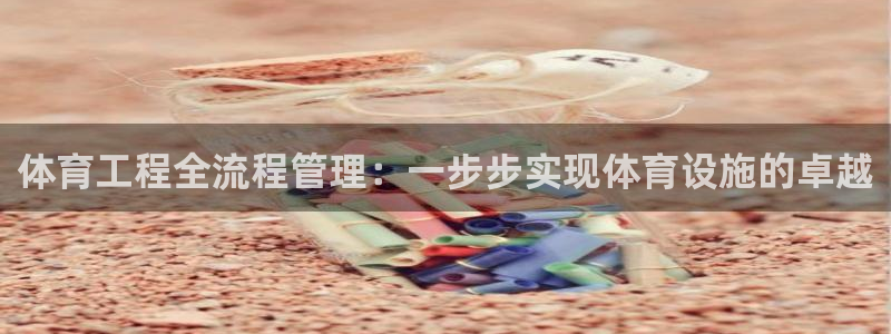 必一体育是啥：体育工