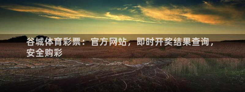 必一体育app官方下