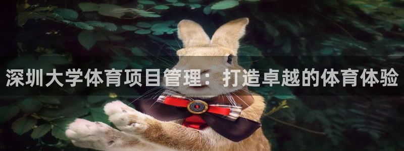 必一体育官网网站：深