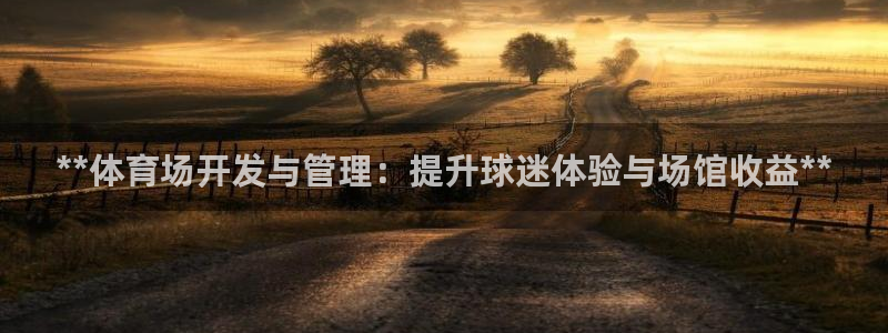 必一体育官网app：