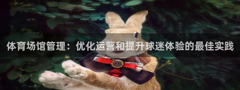 必一体育运动平台官网