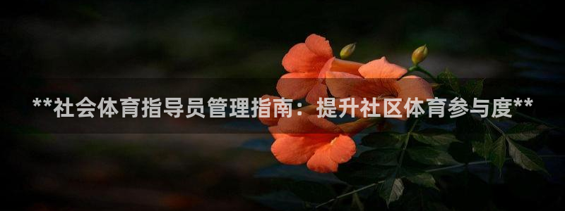 必一体育怎么下载：*