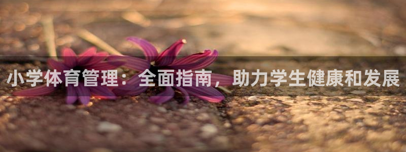 必一体育app官方正