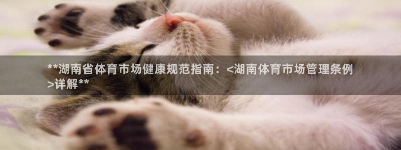 必一体育手机下载：*