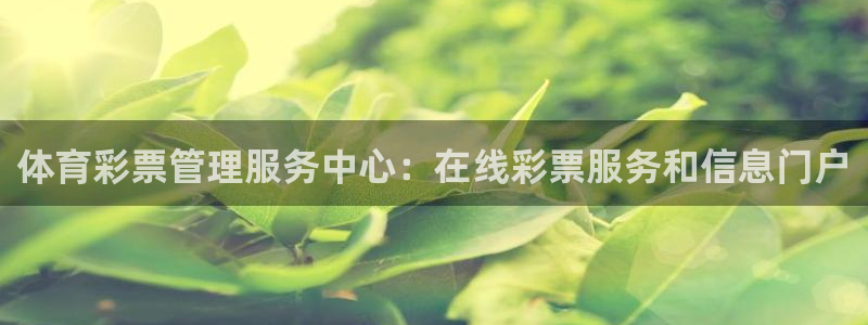 必一体育电子app：