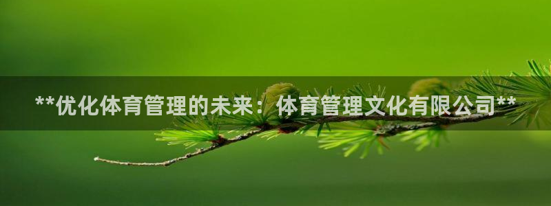 必一体育在线下载：*