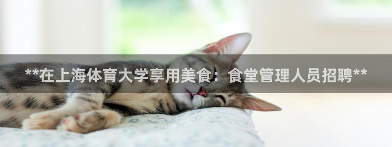 必一体育网页登录版官
