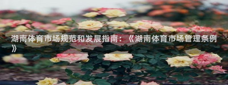 必一体育sport网