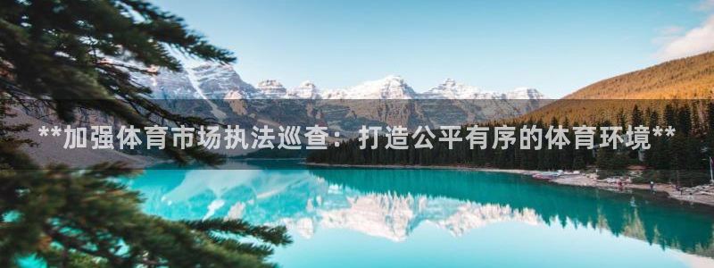 必一运动 b 体育素