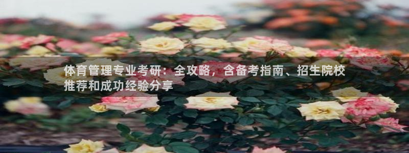 必一体育sport下