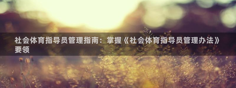 必一体育平台：社会体
