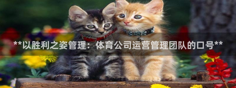 必一体育在线下载：*