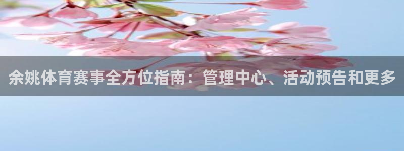 b体育必一运动网页版