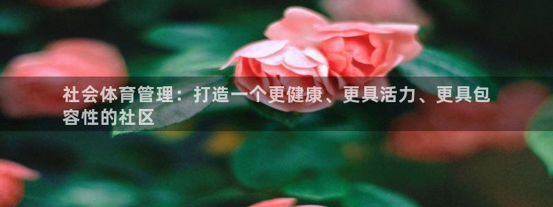 必一运动官网平台：社