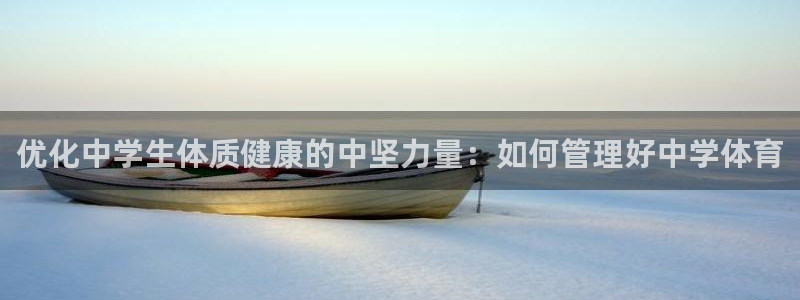 必一体育下载义：优化