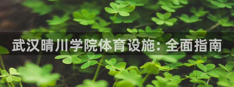 必一体育app下载：