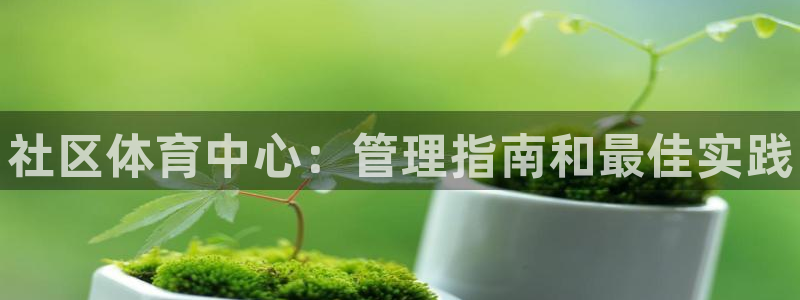 必一运动 b 体育素描版：社区体育中心：管理指南和最佳实践