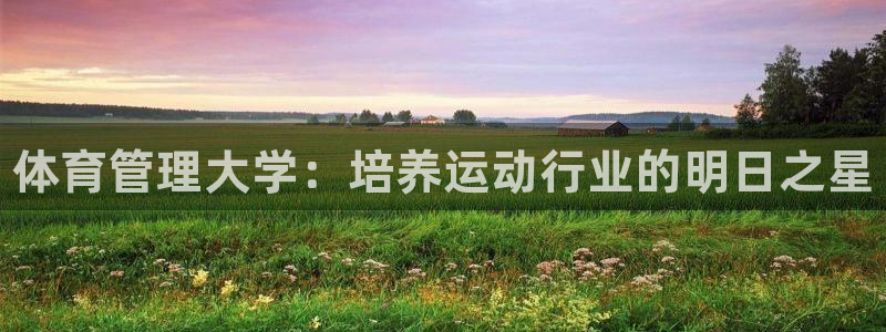 必一体育网页：体育管理大学：培养运动行业的明日之星