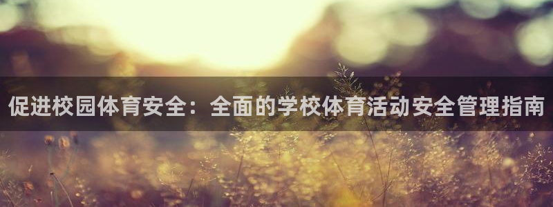 b体育官网下载入口app必一：促进校园体育安全：全面的学校体