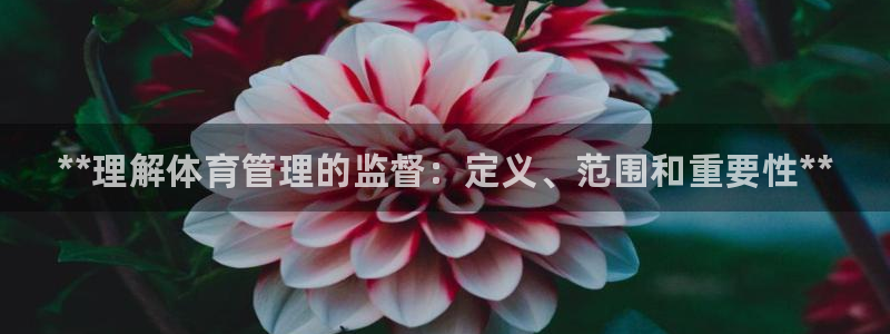 必一体育运动app：**理解体育管理的监督：定义、范围和重要