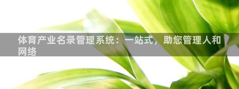 必一体育下载登入：体育产业名录管理系统：一站式，助您管理人和