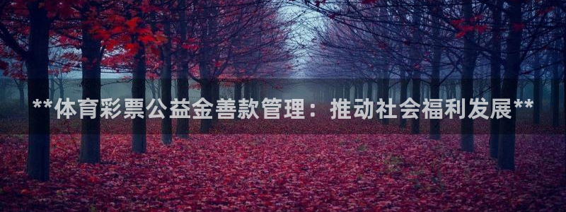 必一运动体育：**体