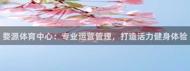 必一体育：婺源体育中心：专业运营管理，打造活力健身体验