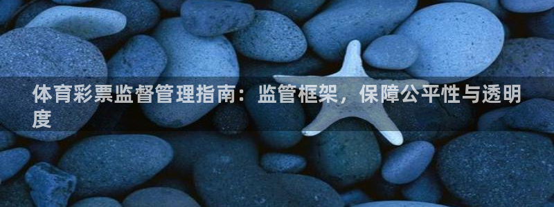 必一体育平台：体育彩票监督管理指南：监管框架，保障公平性与透