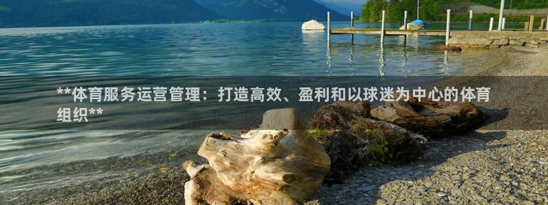 必一体育官网ios下