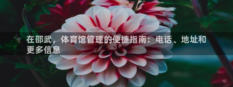 必一体育电子app：