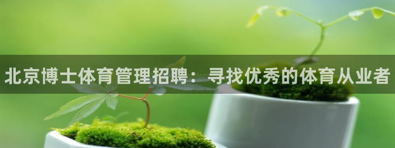 必一体育网页：北京博