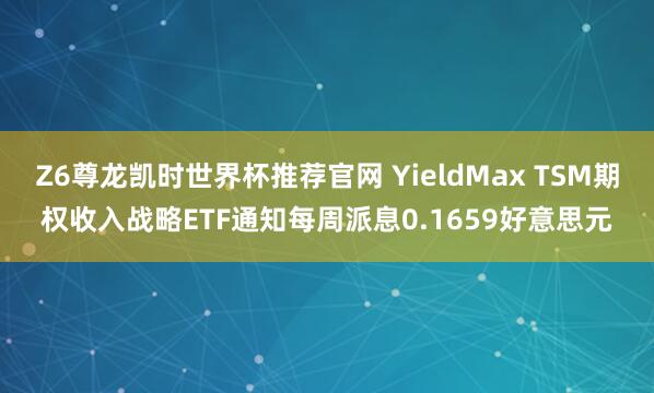 Z6尊龙凯时世界杯推荐官网 YieldMax TSM期权收入战略ETF通知每周派息0.1659好意思元