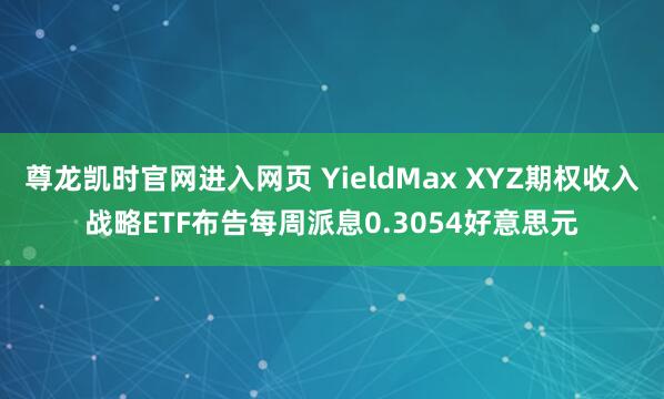 尊龙凯时官网进入网页 YieldMax XYZ期权收入战略ETF布告每周派息0.3054好意思元