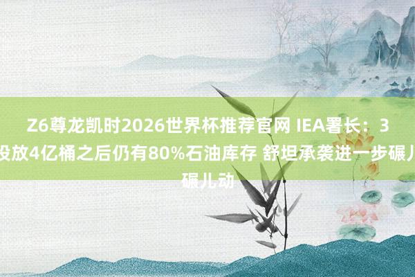 Z6尊龙凯时2026世界杯推荐官网 IEA署长:3月投放4亿桶之后仍有80%石油库存 舒坦承袭进一步碾儿动