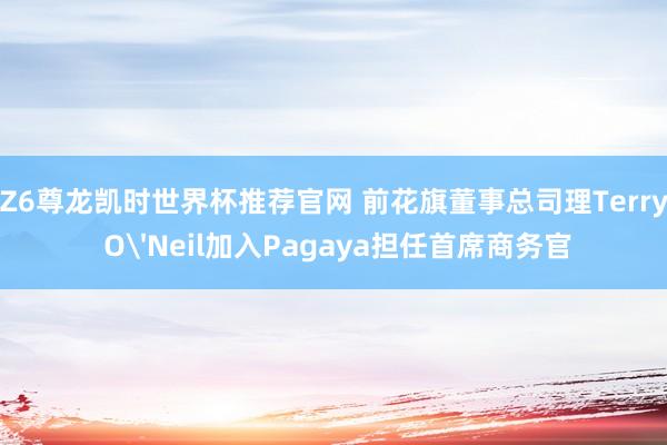 Z6尊龙凯时世界杯推荐官网 前花旗董事总司理Terry O'Neil加入Pagaya担任首席商务官