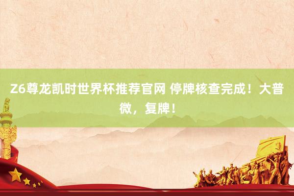 Z6尊龙凯时世界杯推荐官网 停牌核查完成!大普微,复牌!