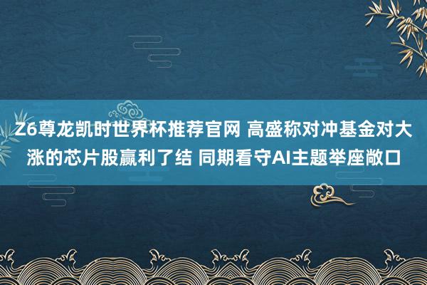 Z6尊龙凯时世界杯推荐官网 高盛称对冲基金对大涨的芯片股赢利了结 同期看守AI主题举座敞口