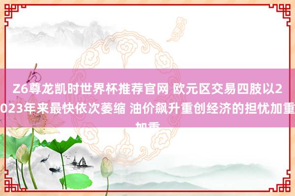 Z6尊龙凯时世界杯推荐官网 欧元区交易四肢以2023年来最快依次萎缩 油价飙升重创经济的担忧加重