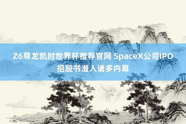 Z6尊龙凯时世界杯推荐官网 SpaceX公司IPO招股书潜入诸多内幕