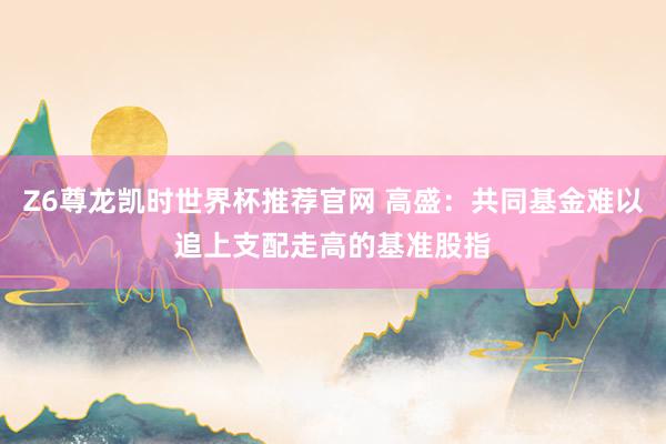 Z6尊龙凯时世界杯推荐官网 高盛：共同基金难以追上支配走高的基准股指